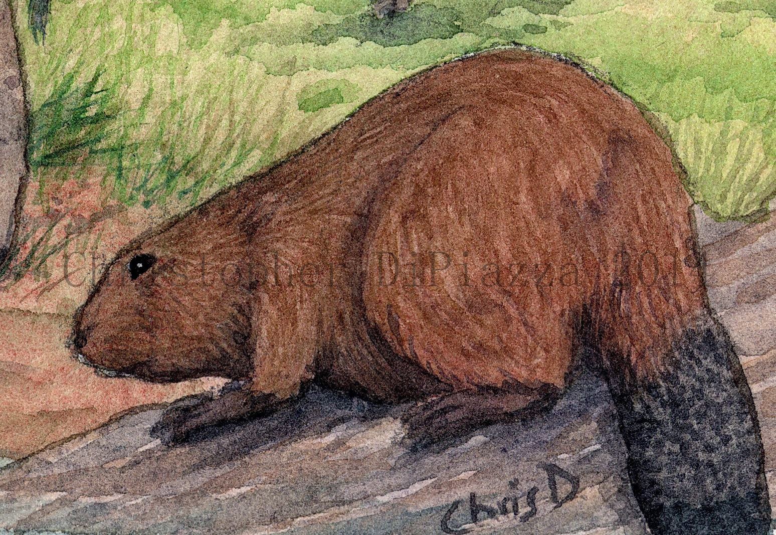 Castoroides ohioensis